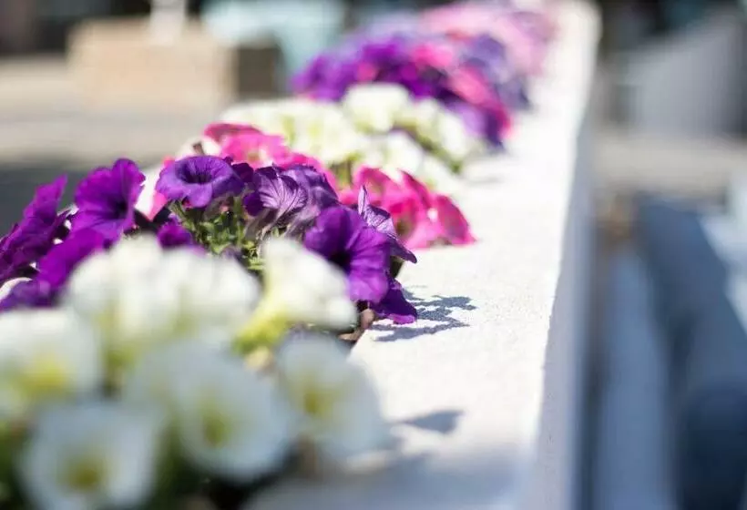 هتل Le Mas Bellevue