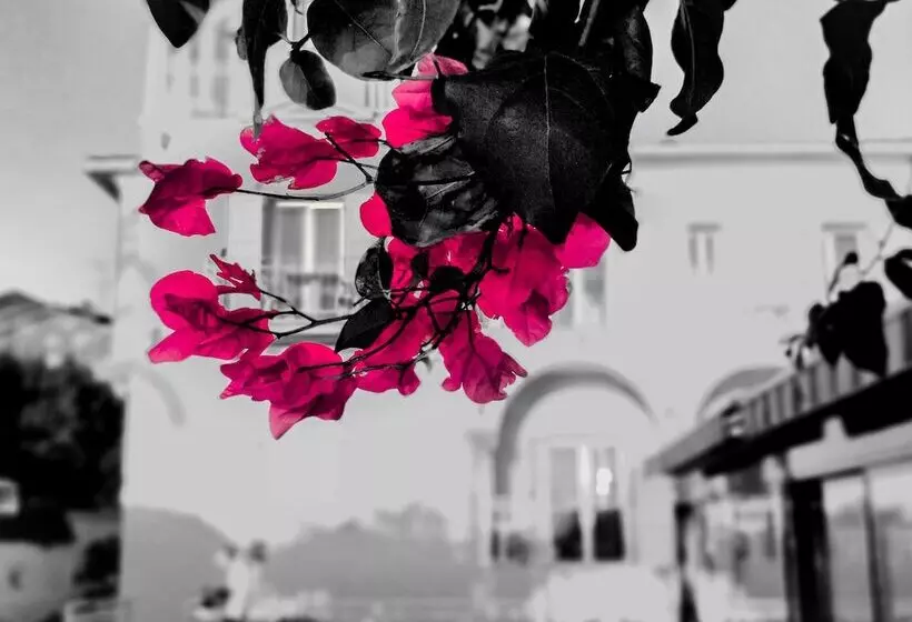 酒店 Et Appartements Reine D Azur