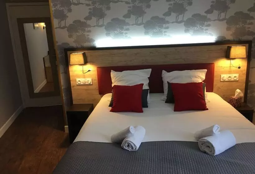 هتل Hôtel Saint Albert