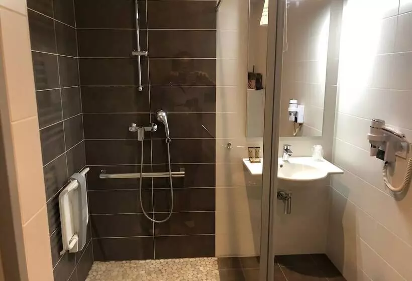 هتل Hôtel Saint Albert