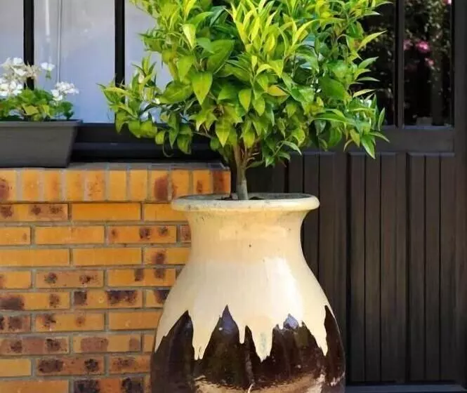 ホテル Le Saintjacques