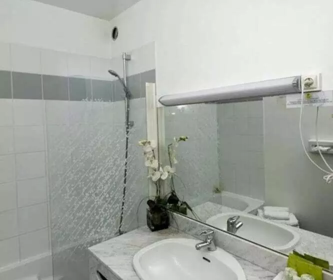 Logis Hotel Le Relais De Comodoliac