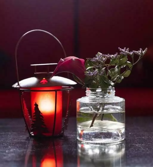 ホテル Hôtel Savoie Leman