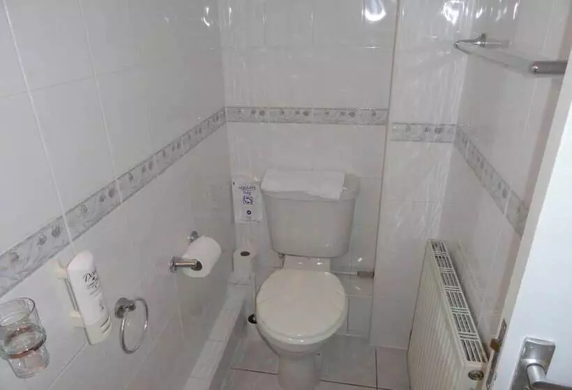 酒店 The Chester Court