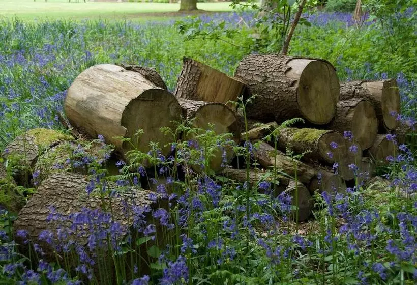 Hotel Hogarths Stone Manor