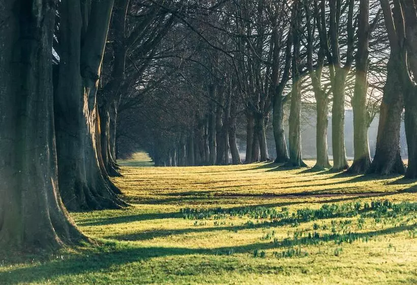 Отель Lucknam Park