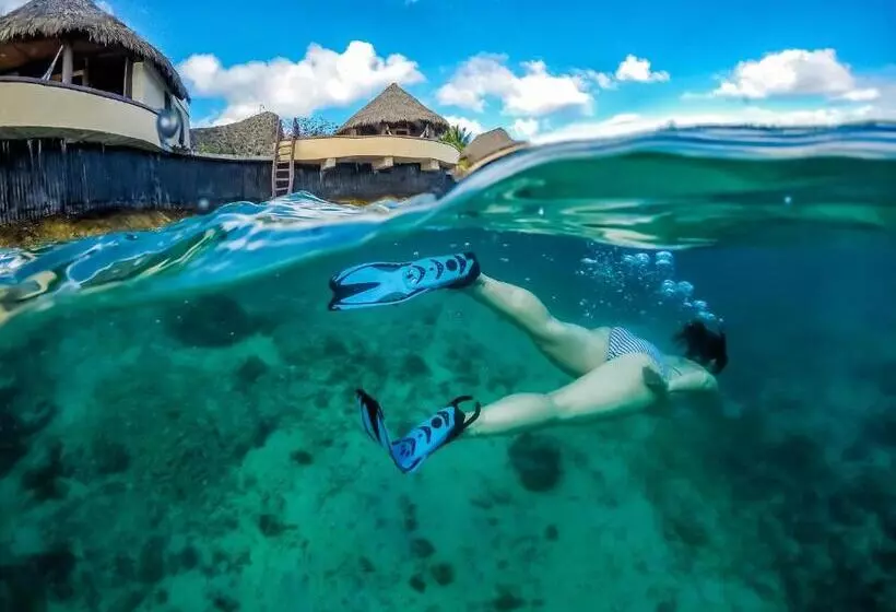 Koro Sun Resort & Rainforest Spa