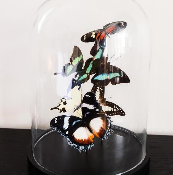 مبيت وإفطار Quob Park Old House Hotel & Spa