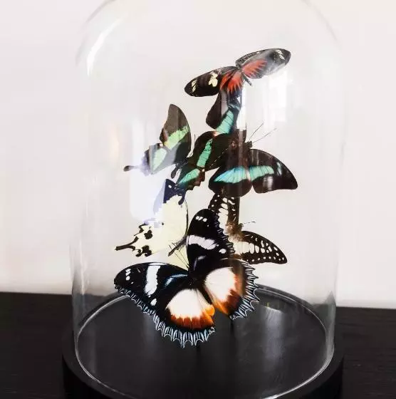 Bed and Breakfast Quob Park Old House Hotel & Spa