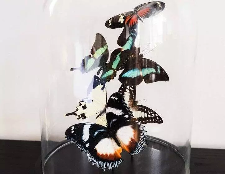 Bed and Breakfast Quob Park Old House Hotel & Spa