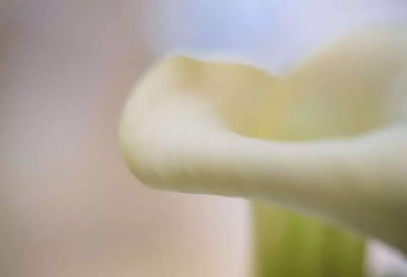 호텔 Como The Halkin