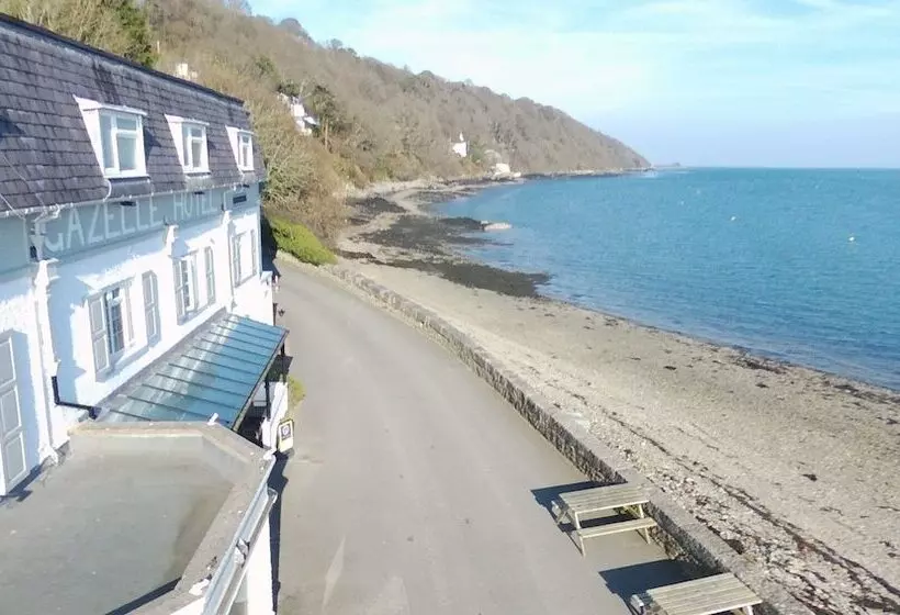 בית מלון כפרי Gazelle