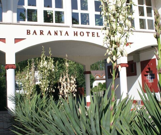 Отель Baranya