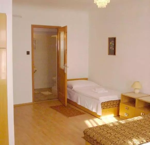 호텔 Corvin Panzio