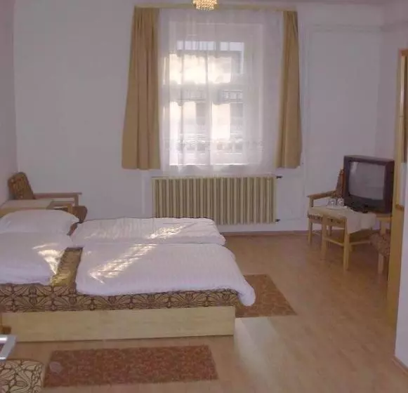 호텔 Corvin Panzio