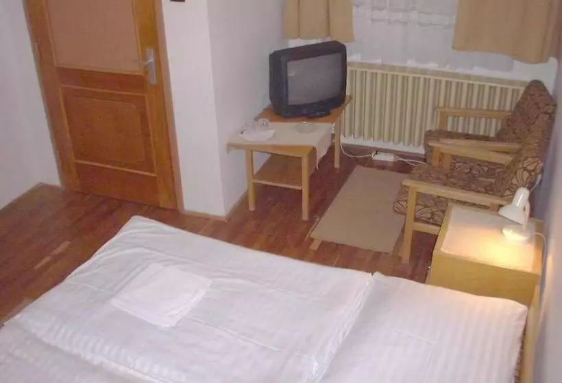 호텔 Corvin Panzio