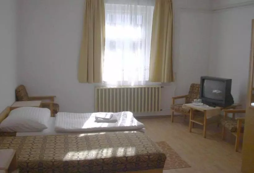 호텔 Corvin Panzio