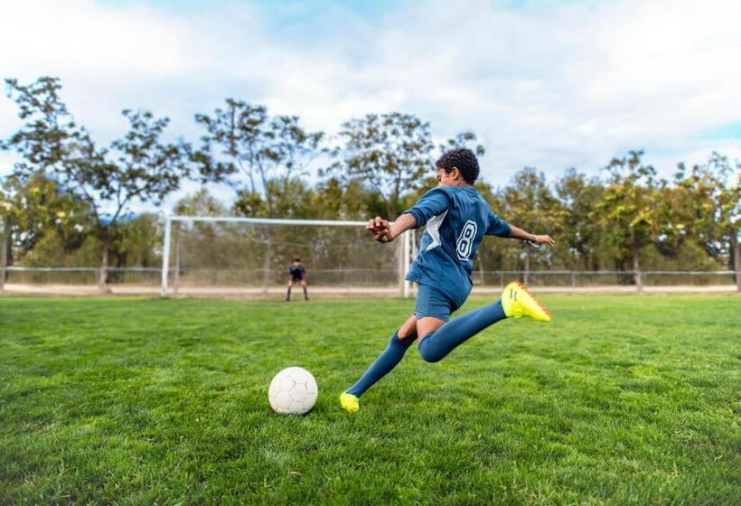 ホテル Ikos Olivia