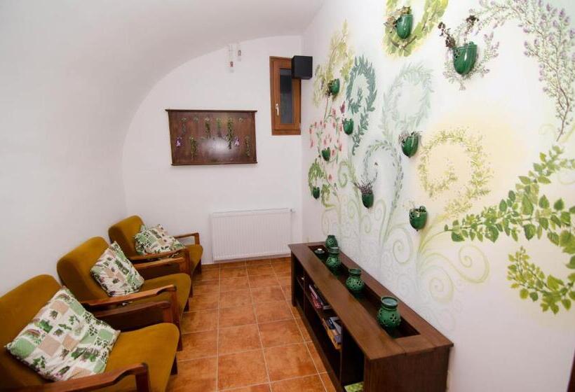 酒店 István Király Szálló