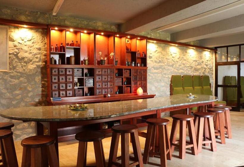 酒店 István Király Szálló