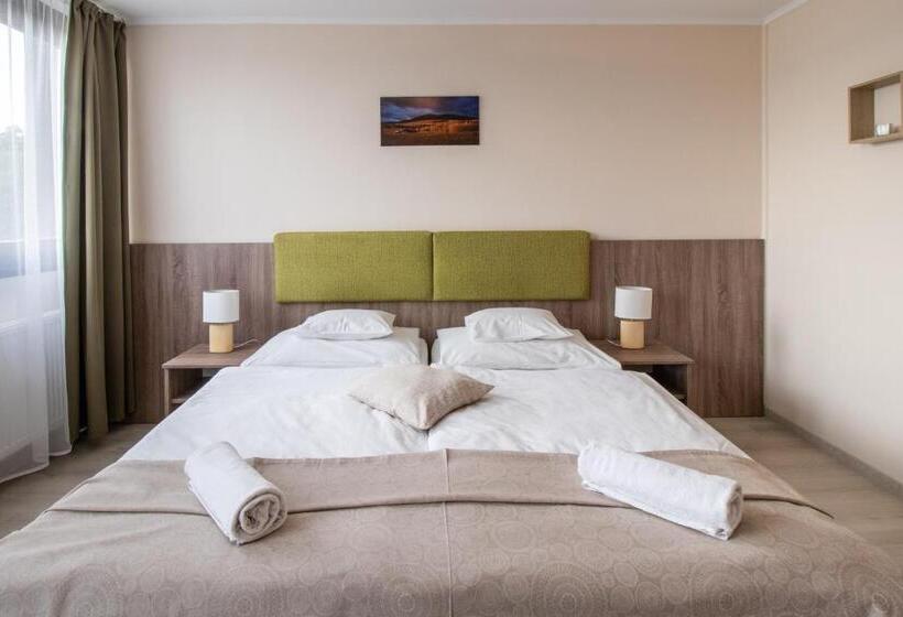 酒店 István Király Szálló