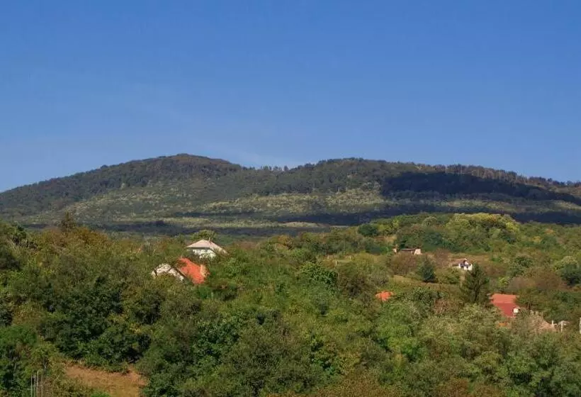 Szálloda István Király Szálló