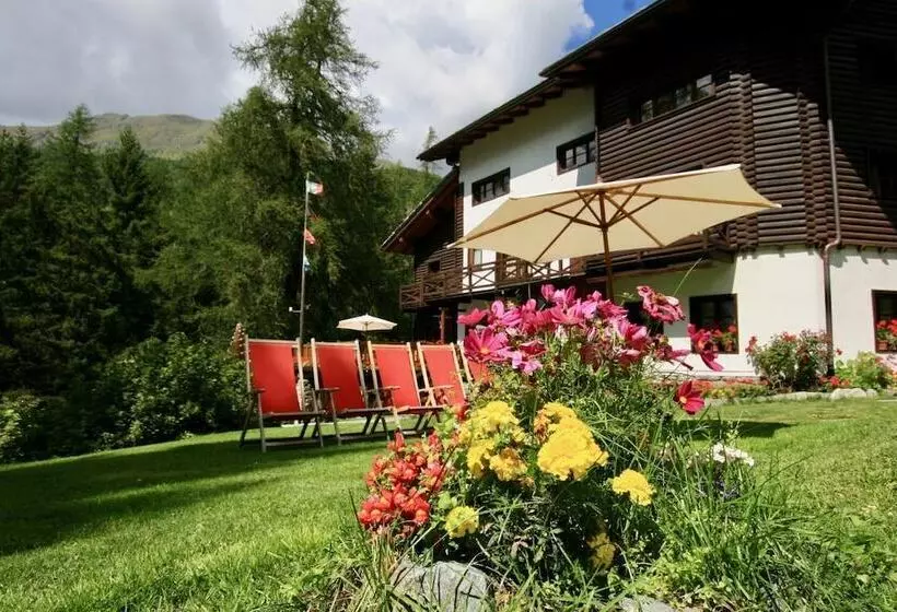 酒店 Albergo Villa Anna Maria