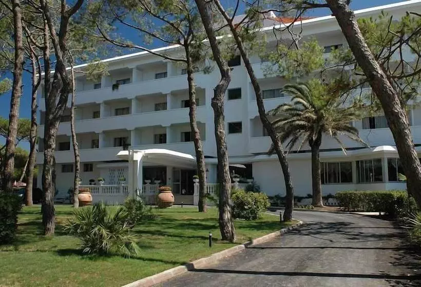 Отель Domizia Palace