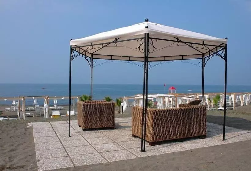 Отель Domizia Palace