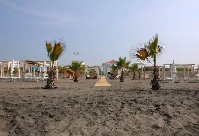 Отель Domizia Palace