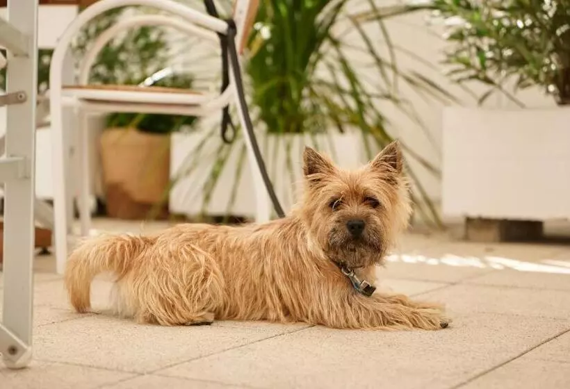 Hotel Saraceno Resort With Private Beach