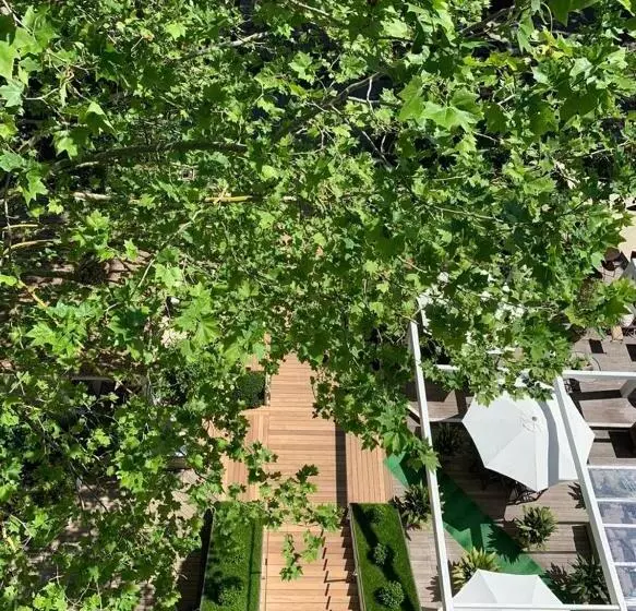 Hotel Saraceno Resort With Private Beach