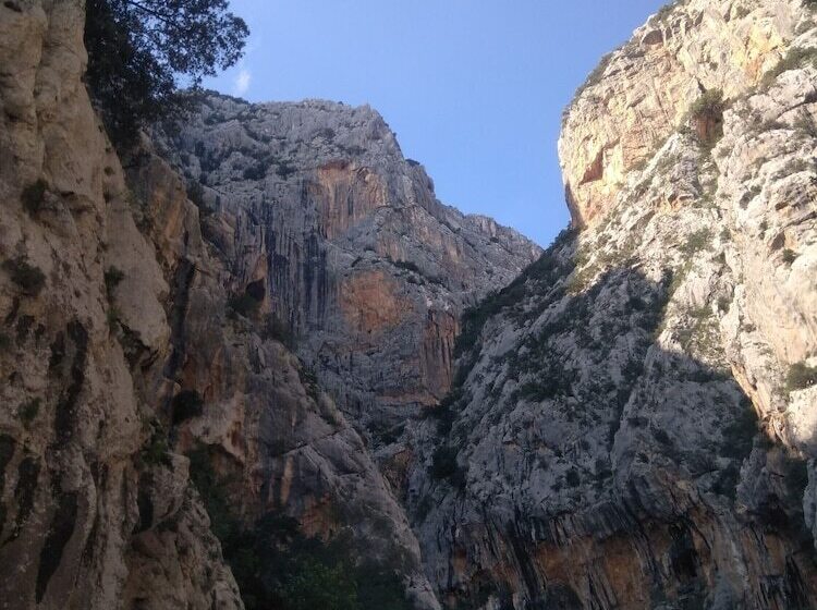 Hotel Albergo Miramare