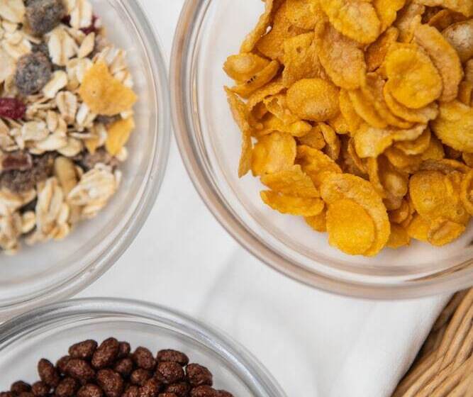 בית מלון כפרי Palace