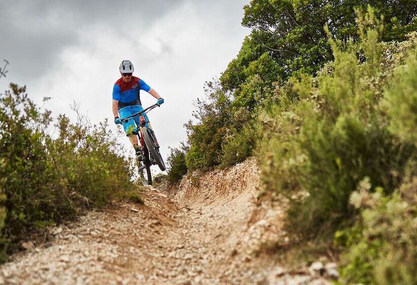 בית מלון כפרי Palace