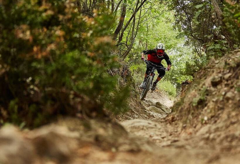 בית מלון כפרי Palace