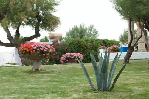 فندق Lido Torre Egnazia