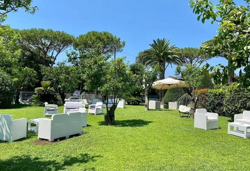 בית מלון כפרי Alpha