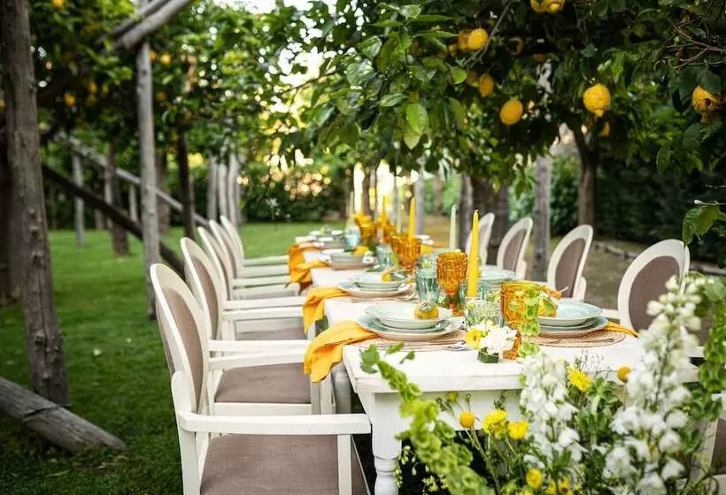 בית מלון כפרי Alpha