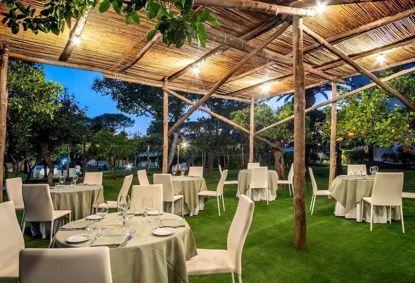 בית מלון כפרי Alpha