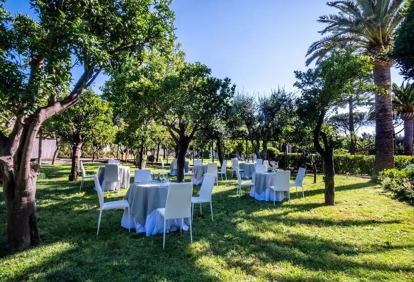 בית מלון כפרי Alpha