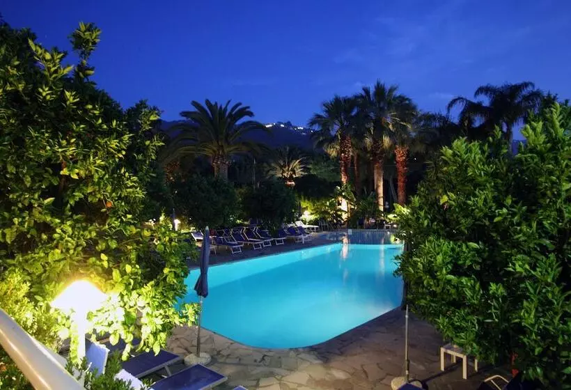 בית מלון כפרי Alpha