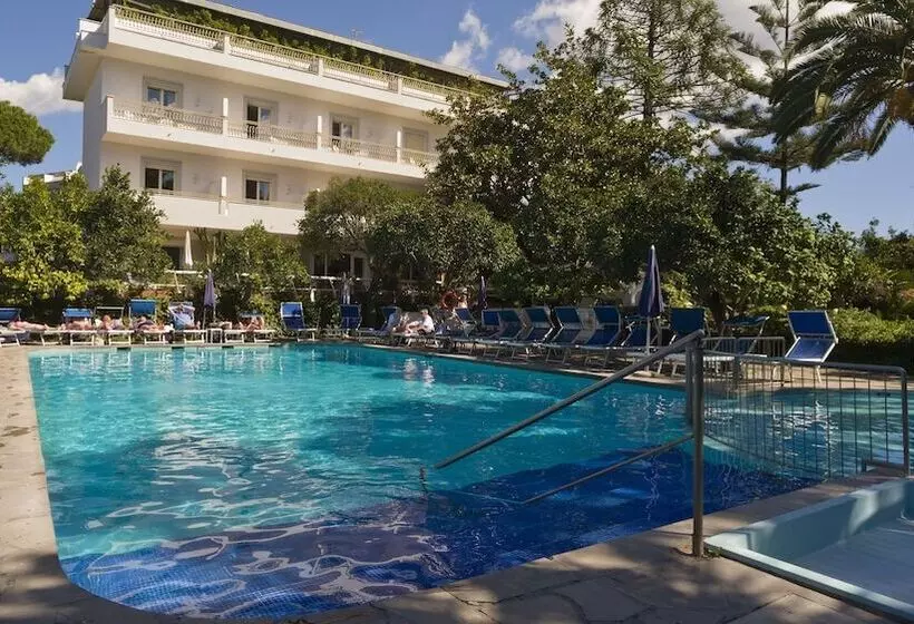 בית מלון כפרי Alpha