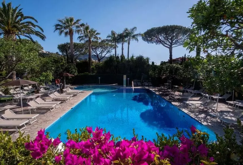 בית מלון כפרי Alpha