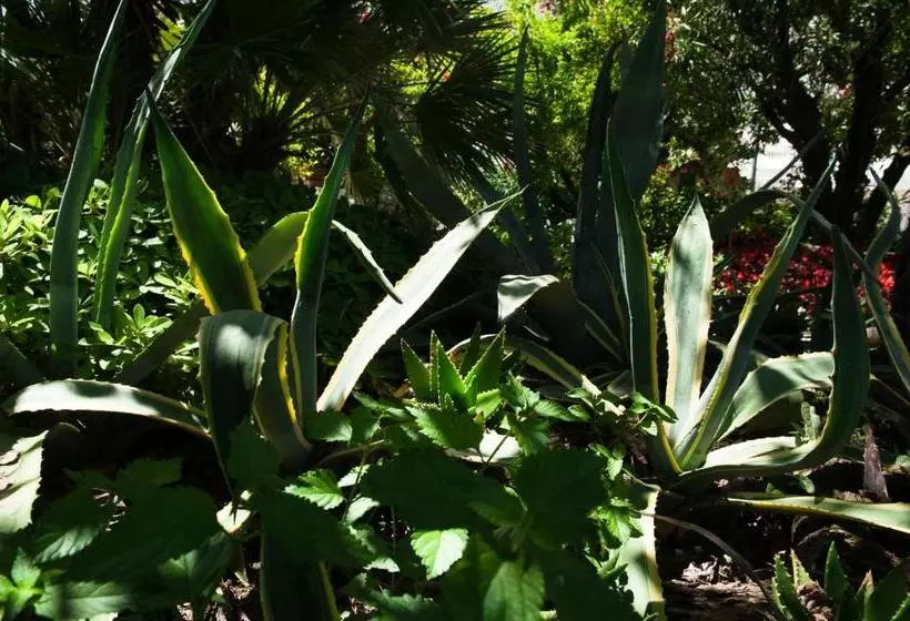 Отель Parco Delle Rose