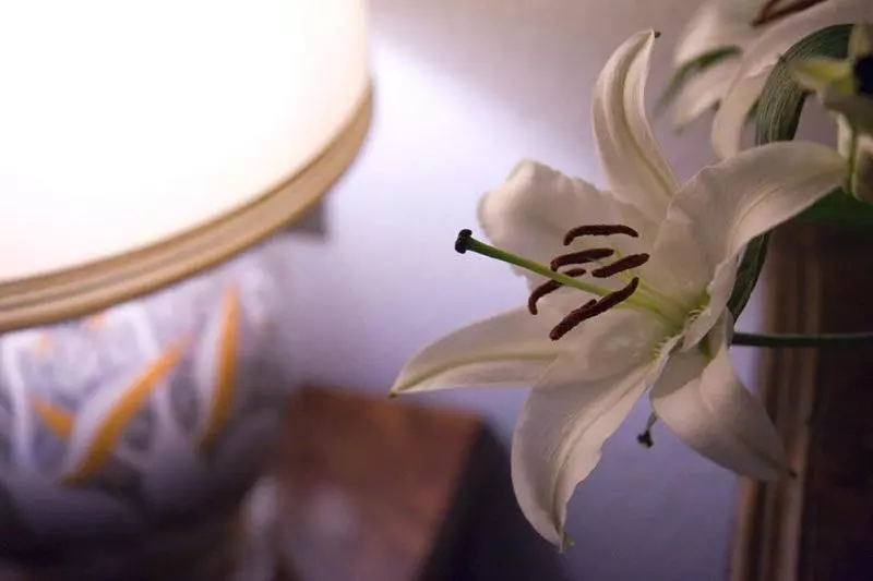 ホテル Ristorante Al Sorriso