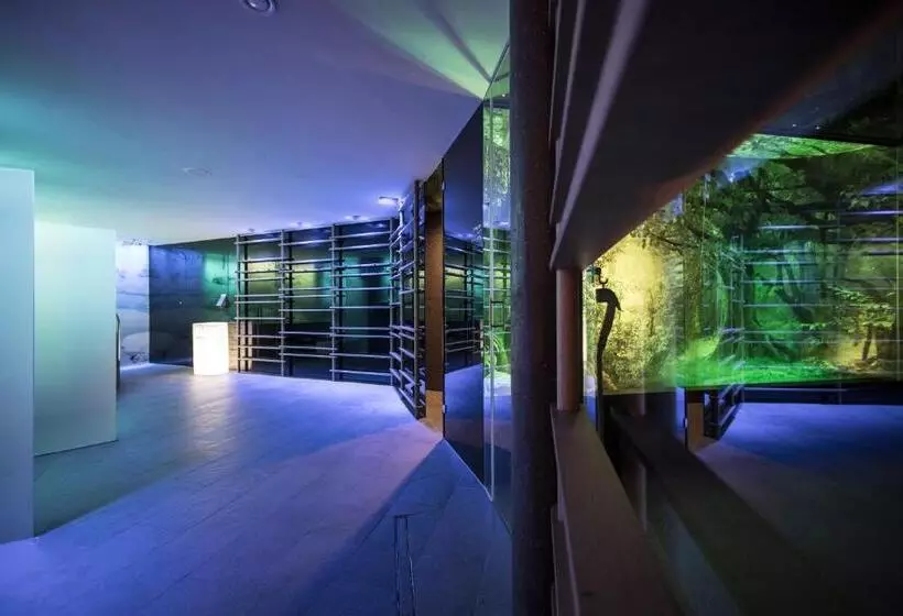 Spa & Relax Hotel Erika