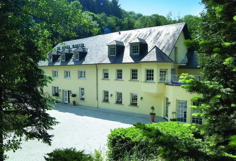 هتل Hôtel Au Vieux Moulin