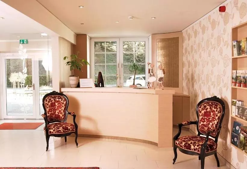 هتل Hôtel Au Vieux Moulin