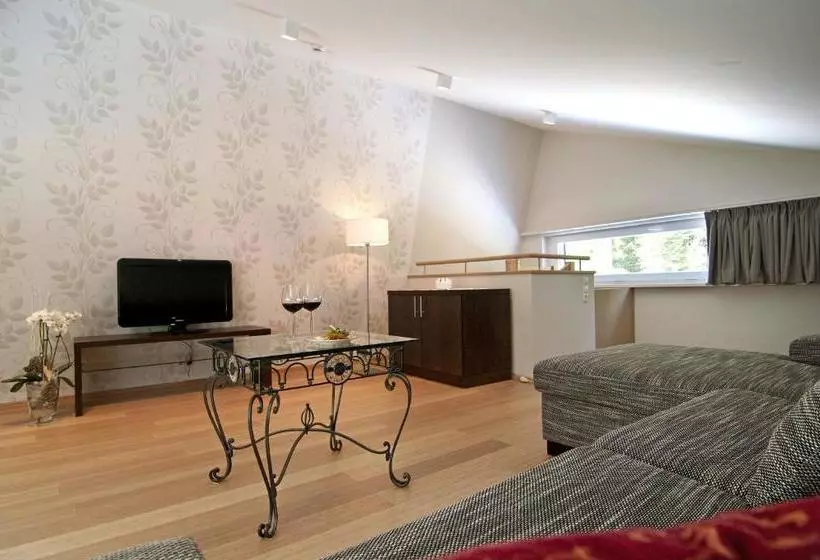 هتل Hôtel Au Vieux Moulin